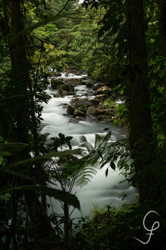 Costa Rican Creek